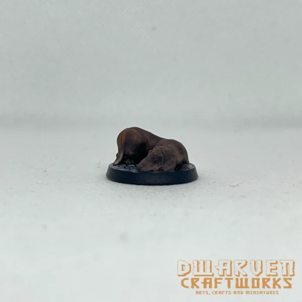Dachshund - Image 2