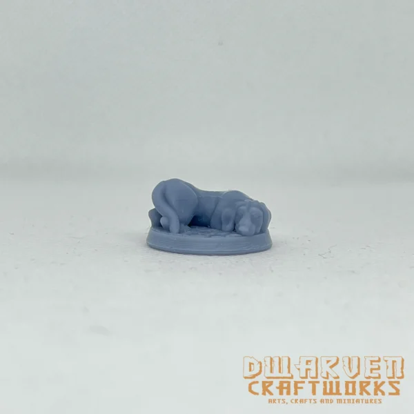 Dachshund - Image 3